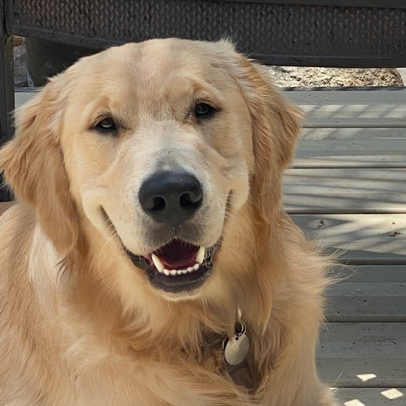 Meet your Posher, Karen - Picture 1 of 1